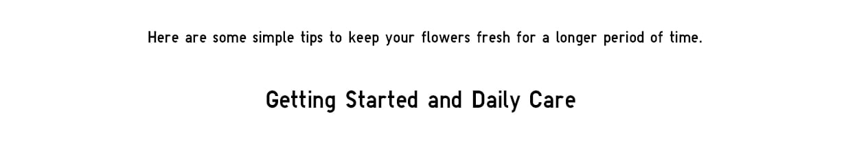 Flower Care Guide
