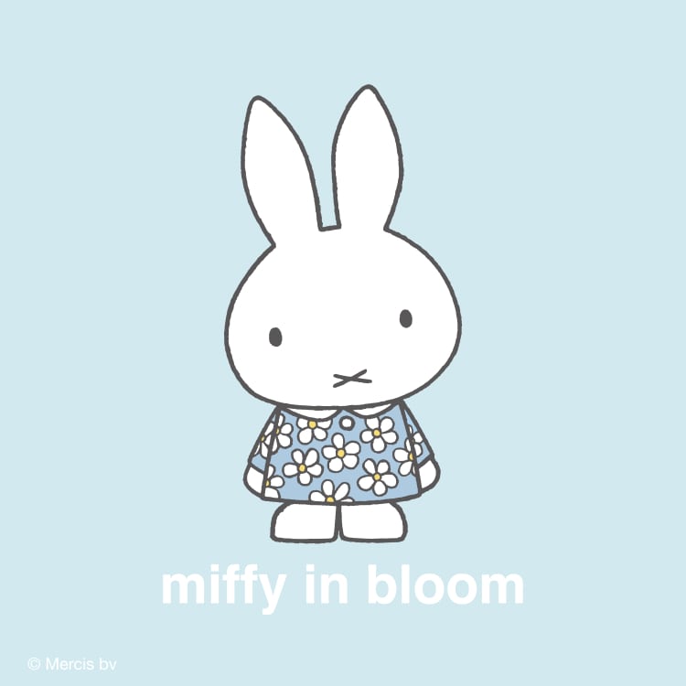 Lineup miffy in bloom