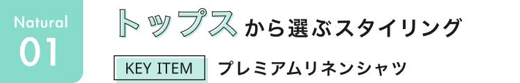 ナチュラル見出しトップス