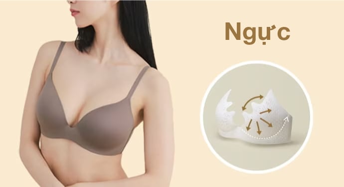 Wireless Bra 3D Hold