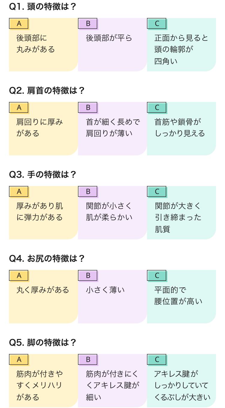 セルフ骨格診断