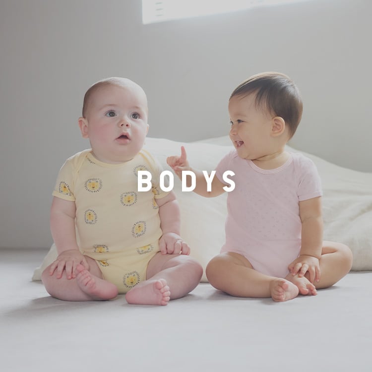 Bodys
