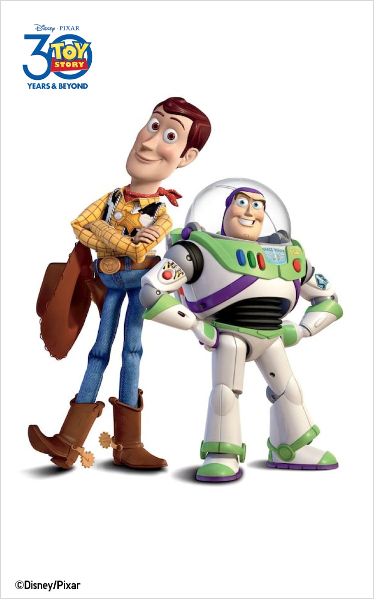 TOY STORY