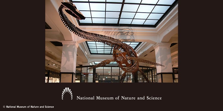 National Museum of Nature and Science, Tokyo