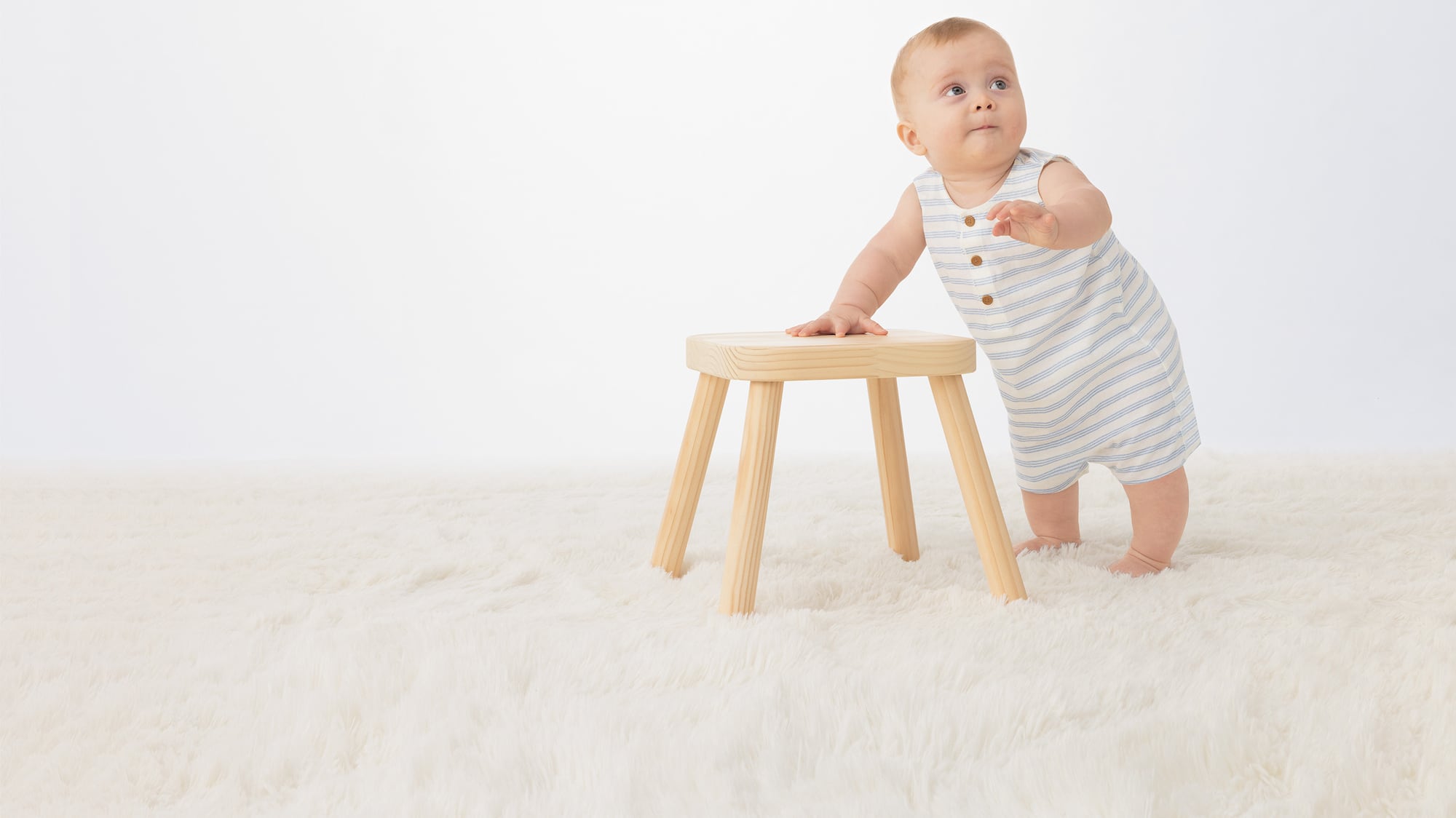 One Piece Collection