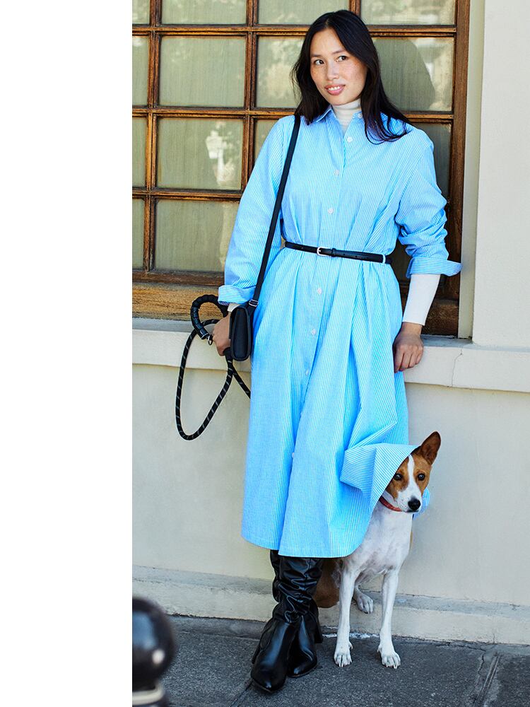 Cotton A Line Shirt Dress