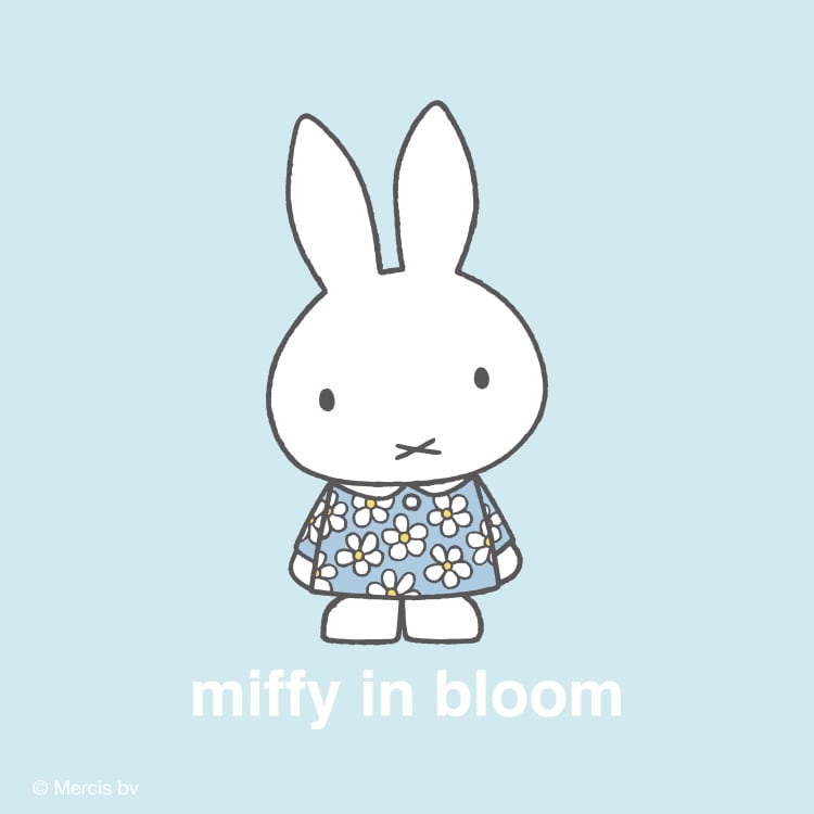 Lineup miffy in bloom