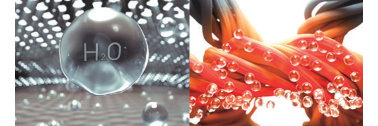 吸湿発熱のメカニズム画像