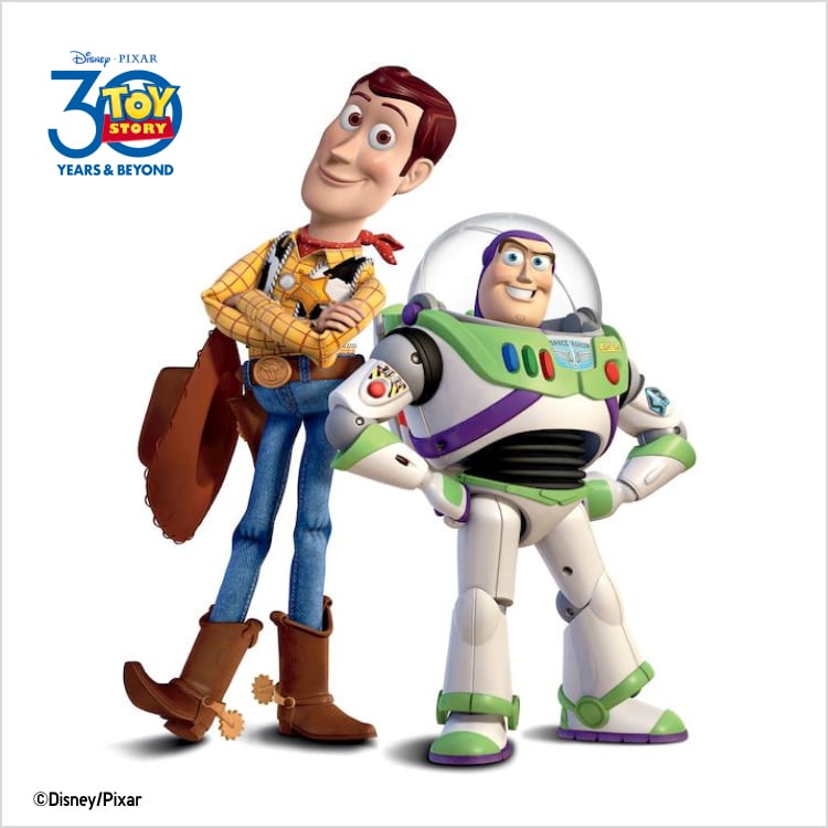 TOY STORY