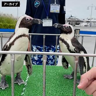 UNIQLO PARK横浜ベイサイド店