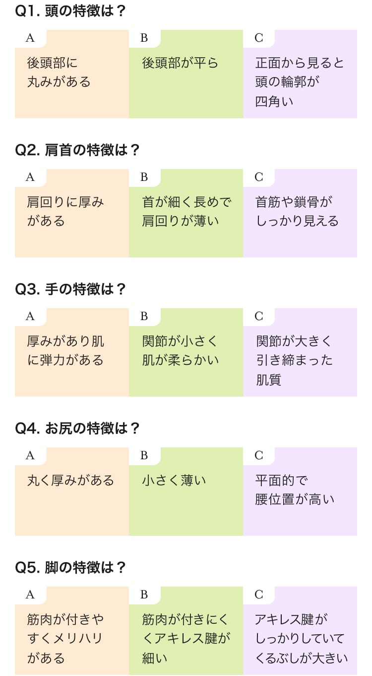 セルフ骨格診断