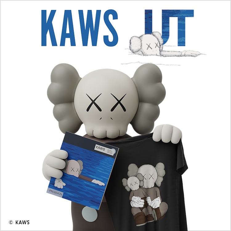 UT KAWS T-SHIRT & ARTBOOK| UNIQLO TH