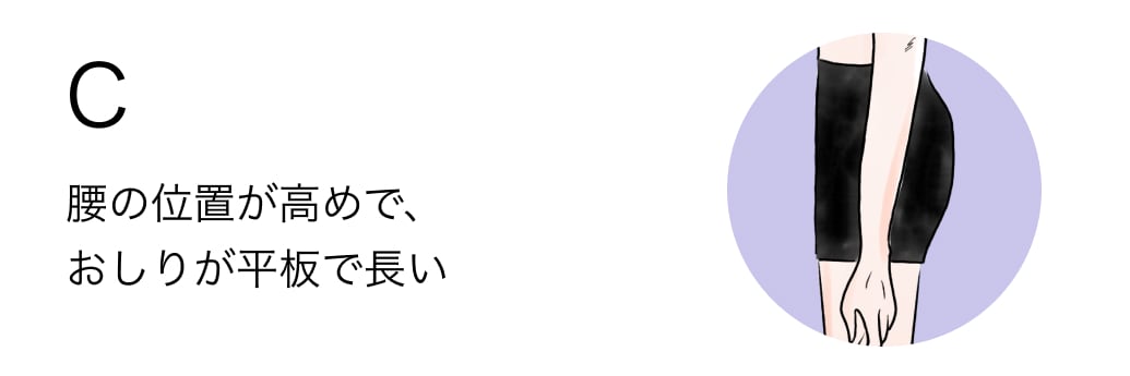 C 腰の位置が高めで、おしりが平板で長い