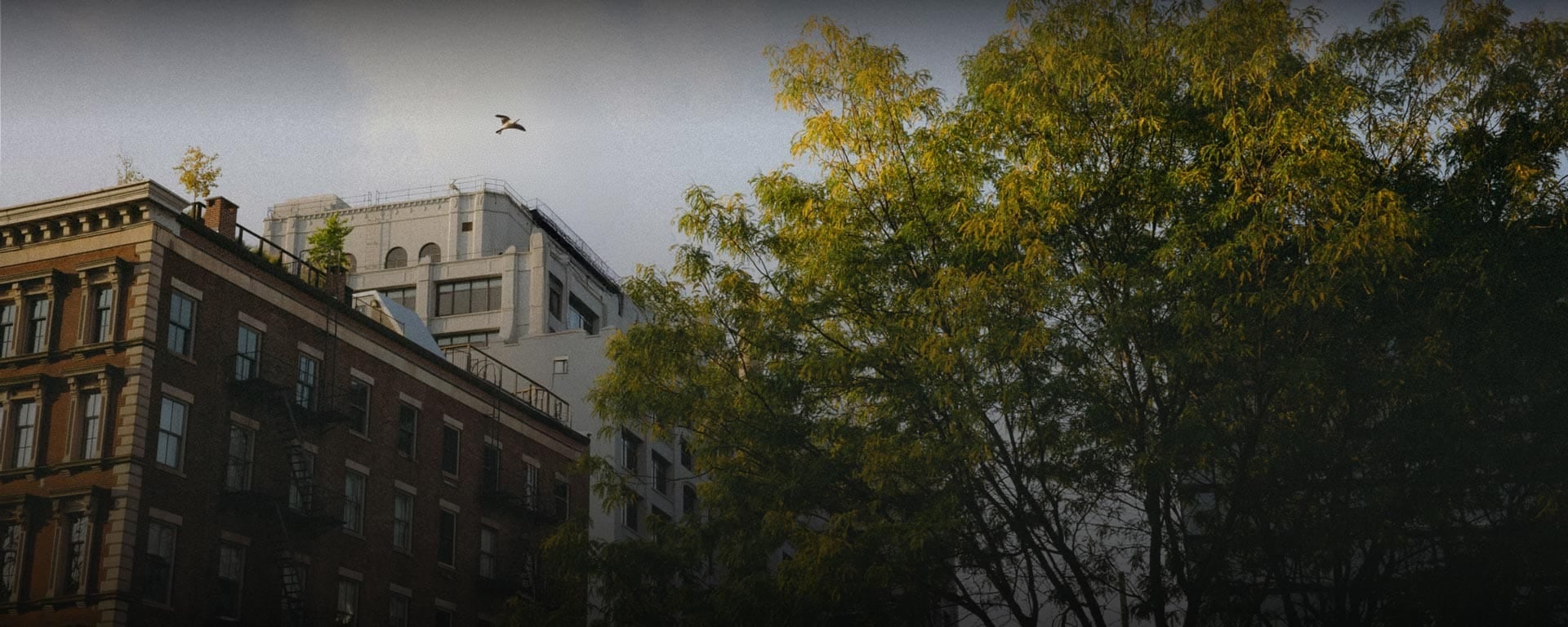 UNIQLO Williamsburg Store