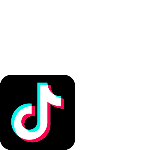 tiktok icon