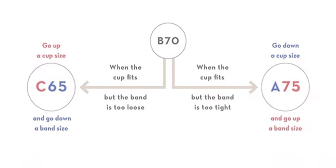 Illustration of size suggestion if cups are fitted