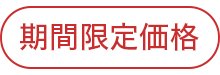 期間限定価格