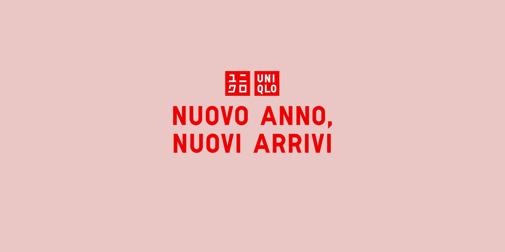 nuovi arrivi per il nuovo anno