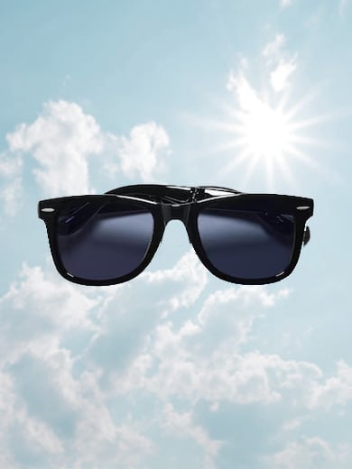 Business Travel Style