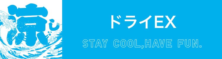 ドライイーエックス