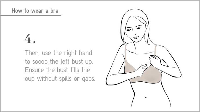 UNIQLO, UNIQLO Bra Size Guide, WOMEN