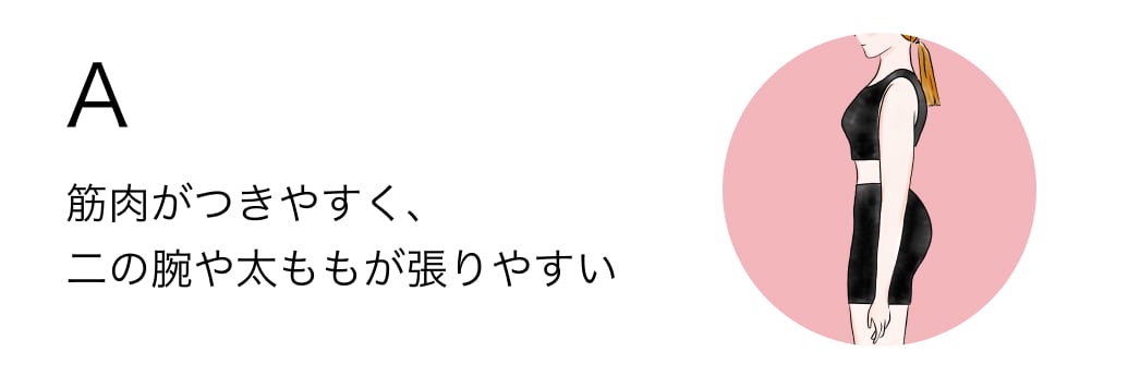 A 筋肉がつきやすく、二の腕や太ももが張りやすい