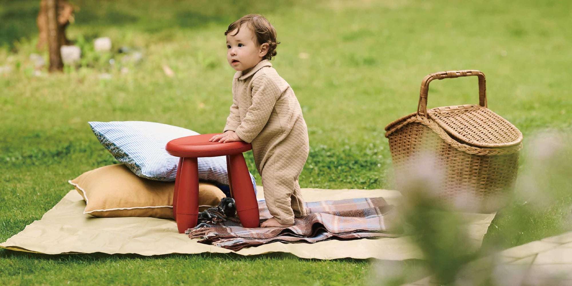 One-Piece Collection 