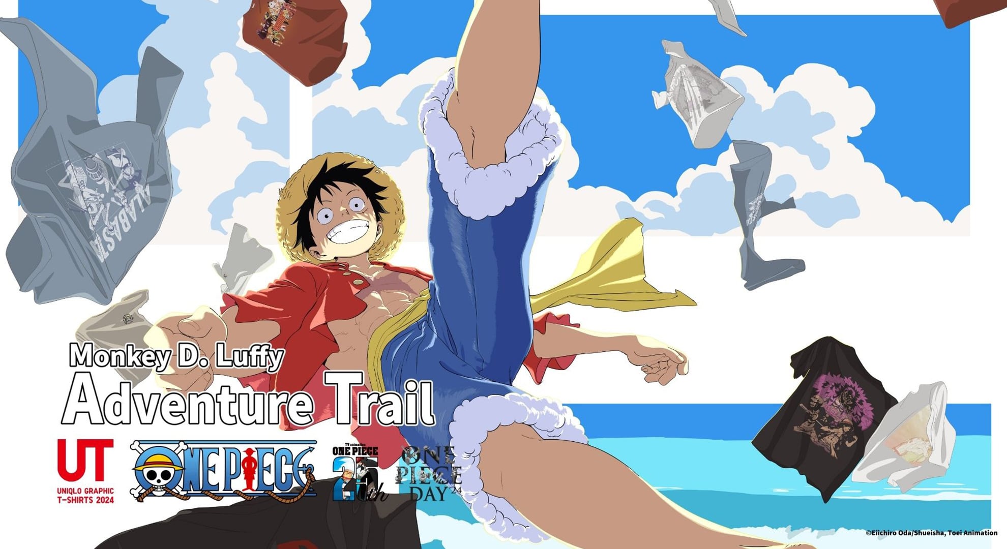 TV animation ONE PIECE 25th