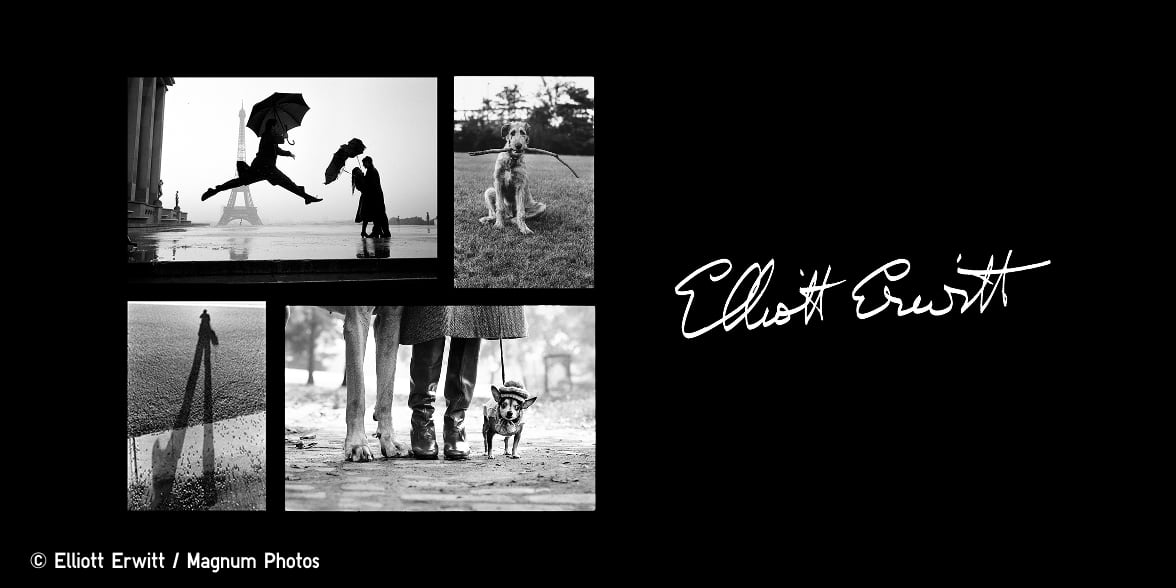 four photographs by Elliott Erwitt