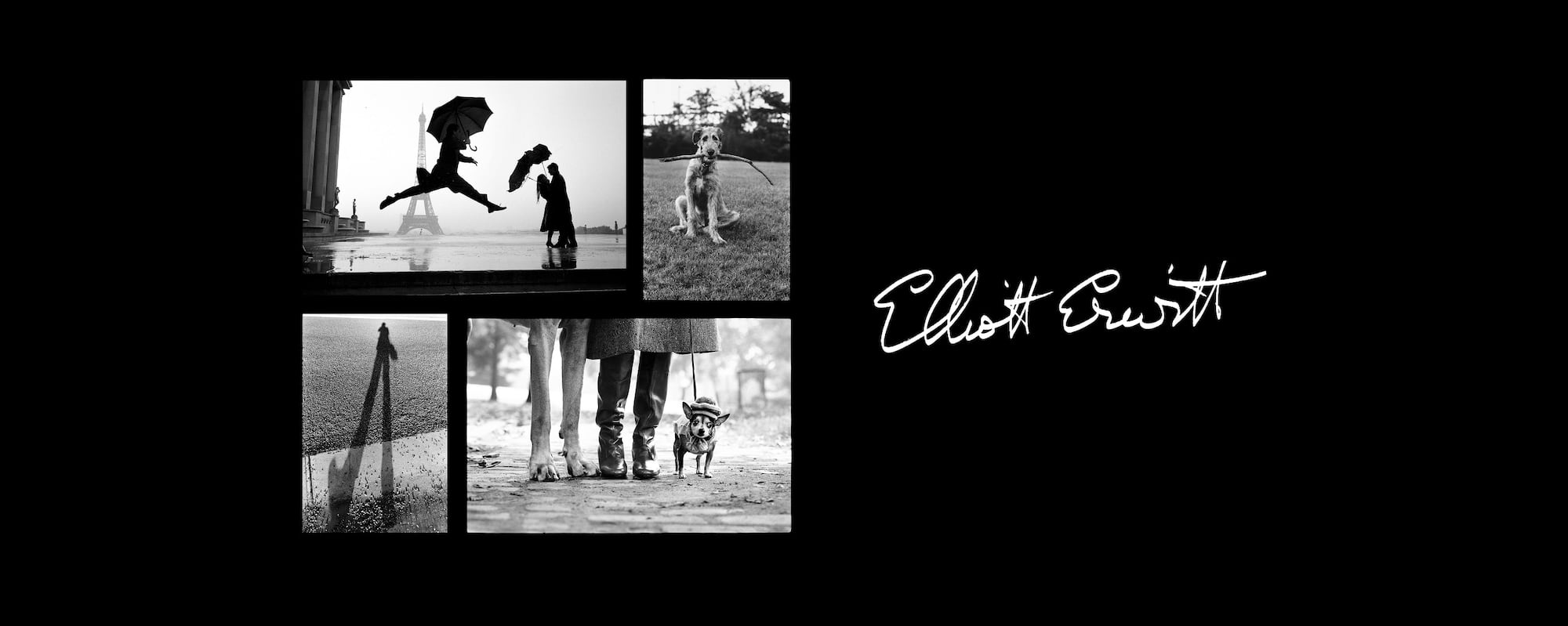 a collage of four black and white photographs by Elliott Erwitt