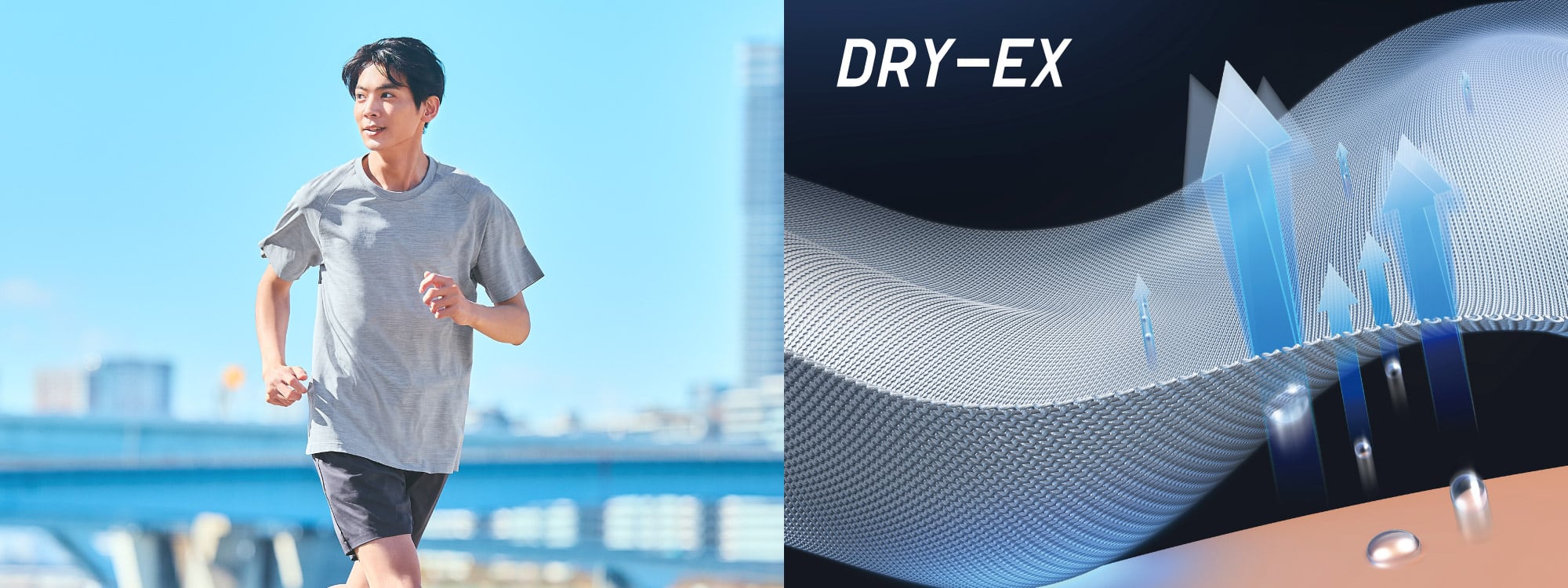 DRY-EX