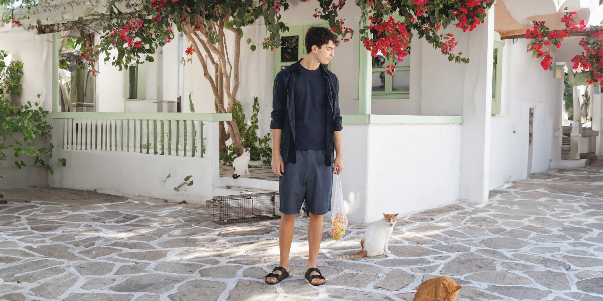 model wearing navy shorts, T-shirt and shirt, holding a bag of fruit and surrounded by several cats
